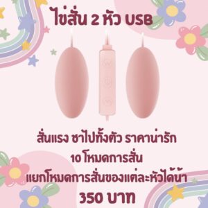 ไข่สั่น 2 หัว เสียบ USB
